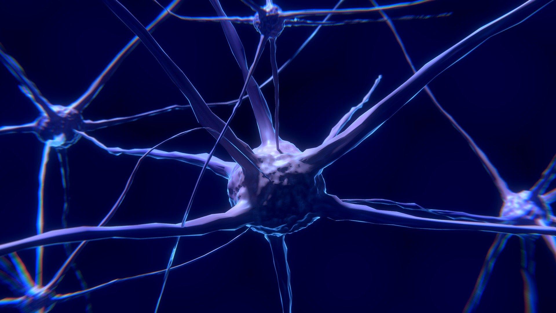 Développement de molécules innovantes pour le traitement des maladies du système nerveux central